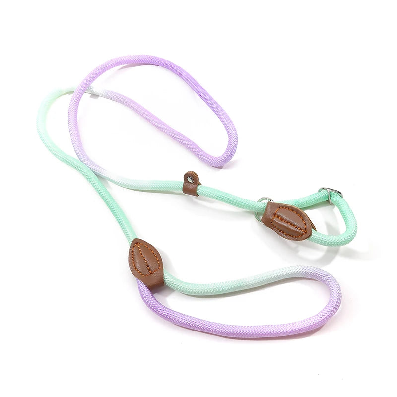 Dog Leashes Dog Slip Lead Dog Training Leash Strong Heavy Duty Braided No Pull Training Lead Leashes for Small Medium Large Dogs