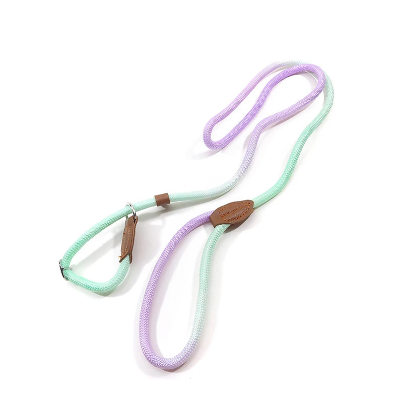 Dog Leashes Dog Slip Lead Dog Training Leash Strong Heavy Duty Braided No Pull Training Lead Leashes for Small Medium Large Dogs