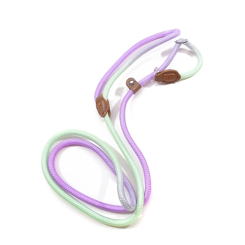 Dog Leashes Dog Slip Lead Dog Training Leash Strong Heavy Duty Braided No Pull Training Lead Leashes for Small Medium Large Dogs