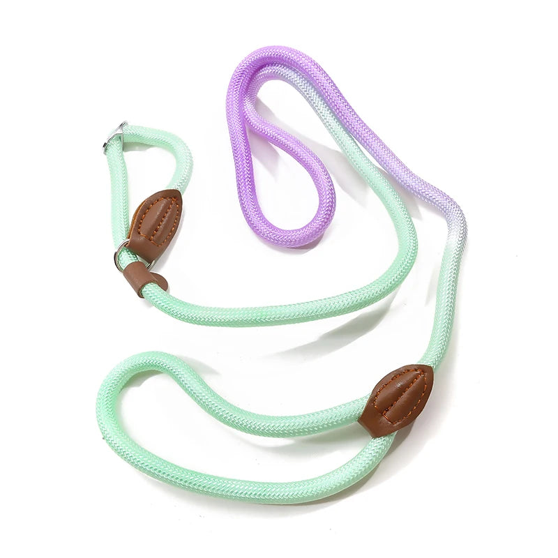 Dog Leashes Dog Slip Lead Dog Training Leash Strong Heavy Duty Braided No Pull Training Lead Leashes for Small Medium Large Dogs